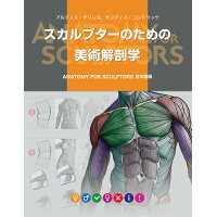 スカルプターのための美術解剖学 ＡＮＡＴＯＭＹ　ＦＯＲ　ＳＣＵＬＰＴＯＲＳ日本語版  /ボ-ンデジタル/アルディス・ザリンス